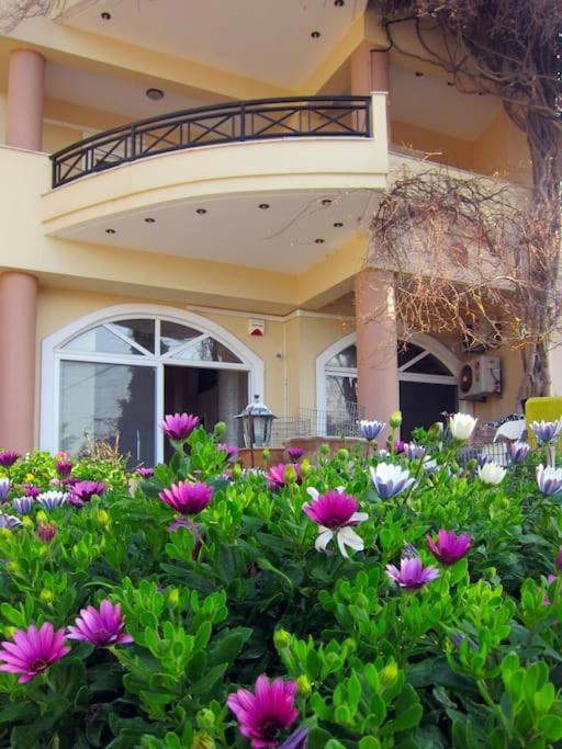 Lenico Beachfront Suites Agia Pelagia  Exterior photo