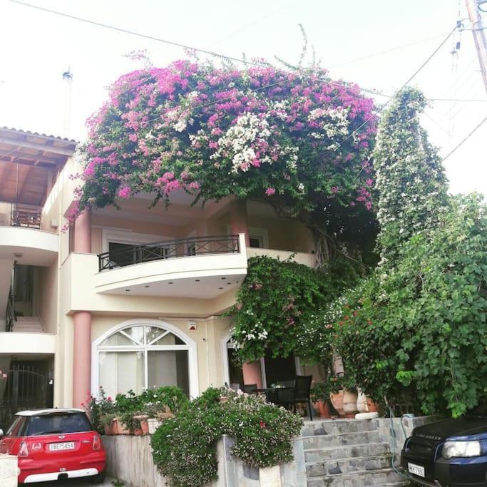 Lenico Beachfront Suites Agia Pelagia  Exterior photo